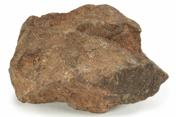 Chondrite Meteorite ( g) - Western Sahara Desert #232942